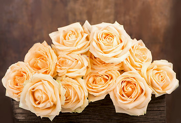 Image showing  beautiful rose