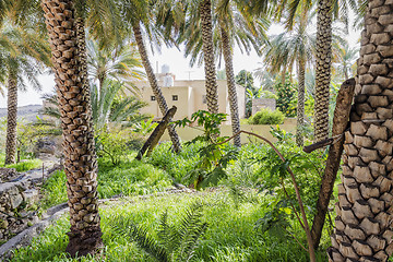 Image showing Garden Misfah Abreyeen