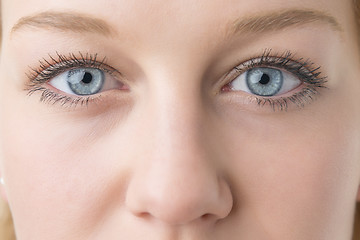 Image showing Closeup woman eyes