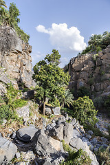 Image showing Landscape Misfah Abreyeen