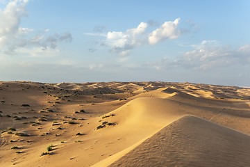 Image showing Desert Wahiba Oman