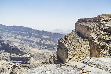 Image showing Camel in Wahiba Oman