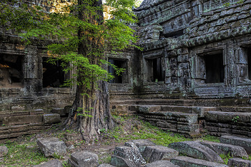 Image showing Sunrise over Ta Phrom