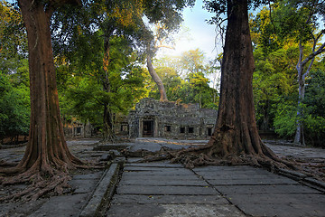 Image showing Sunrise over Ta Phrom