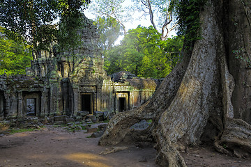 Image showing Sunrise over Ta Phrom