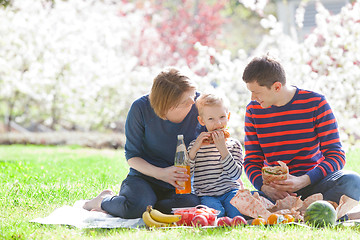 Image showing family picnic