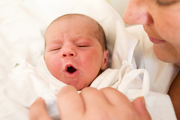 Image showing crying newborn baby in the hospital