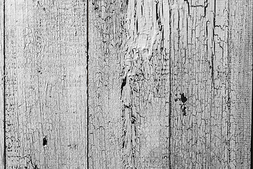 Image showing white wood texture