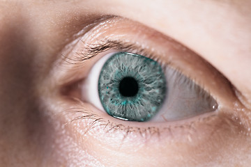 Image showing Female eye
