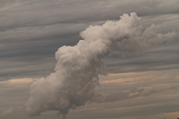 Image showing Specific cloud