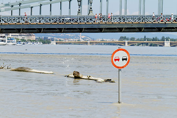 Image showing Danube in Budapest