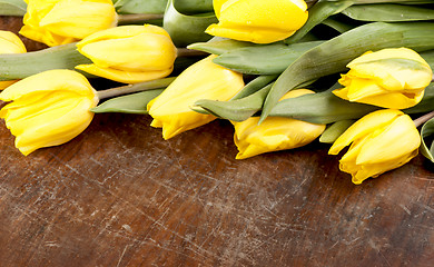 Image showing tulips on white