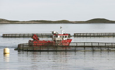 Image showing Sea farm