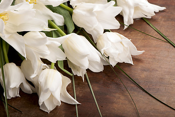 Image showing flowers isolated