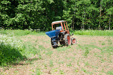 Image showing Farmer sow buckwheat seeds in field with tractor 