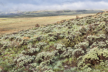 Image showing mountain valley with sagebrush