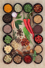 Image showing Herbs and Spices