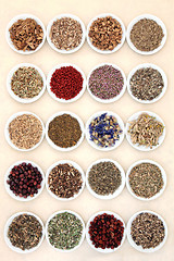 Image showing Naturopathic Herbs