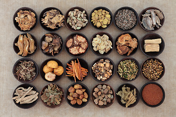 Image showing Chinese Herbal Medicine