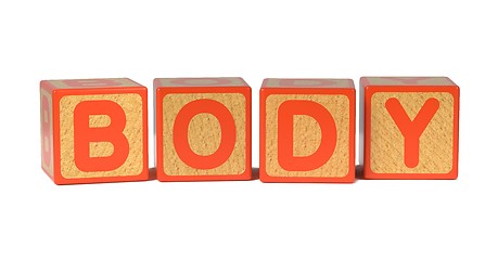 Image showing Body on Colored Wooden Childrens Alphabet Block.