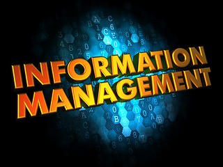 Image showing Information Management - Gold 3D Words.