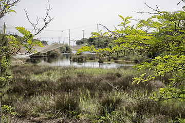 Image showing Fishing huts on the lagoon