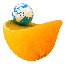 Image showing Earth and orange fruit. Creative conceptual image. 