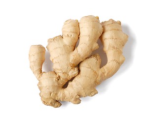 Image showing Ginger