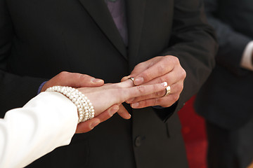 Image showing Hands of a bride and groom