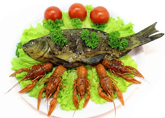 Image showing  fish dish