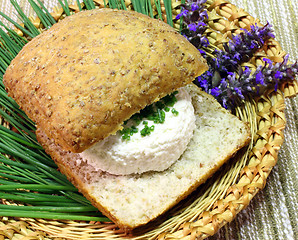 Image showing Wheat bread with cottage cheese