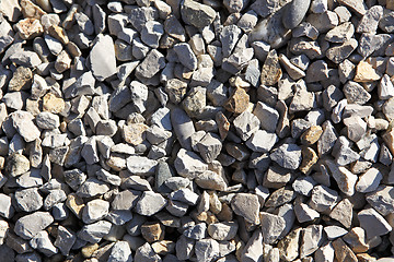 Image showing Shingle