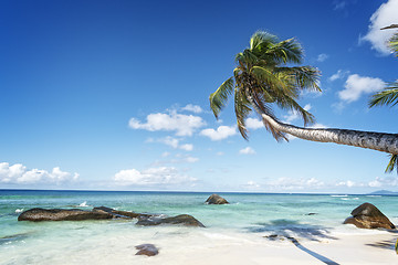 Image showing tropical beach