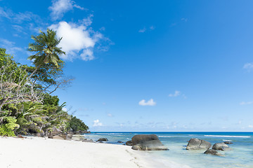 Image showing beach of tropical island