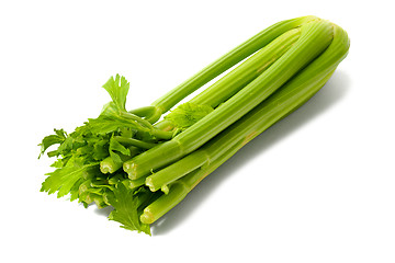 Image showing Celery on White