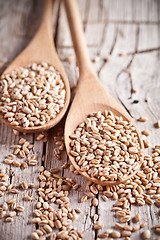 Image showing wheat grain in wooden spoons