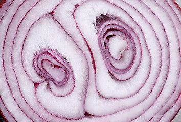 Image showing Red Onion Background