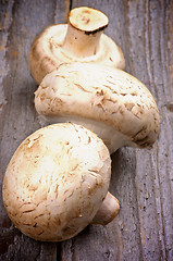 Image showing Raw Champignons