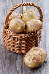 Image showing New Harvest Potato