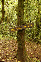 Image showing Mandara hut