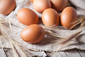 Image showing  fresh brown eggs and wheat ears 
