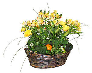 Image showing Floral arrangement