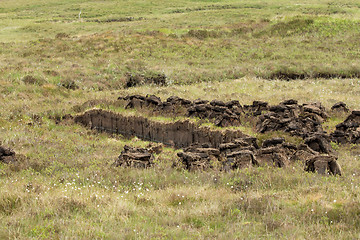 Image showing Peat Cutting