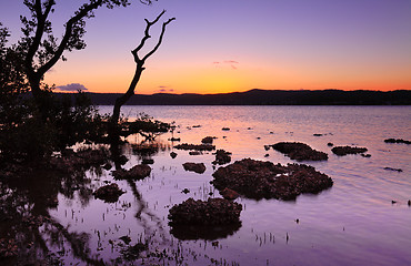 Image showing Tidal shallows at sundown landscape