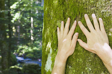 Image showing Protecting the nature