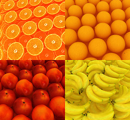 Image showing Citrus set beautiful backgrounds