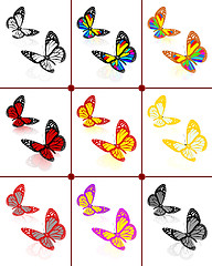 Image showing Butterflies botany set
