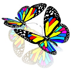 Image showing beauty butterflies