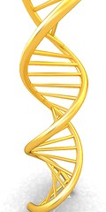 Image showing DNA structure model