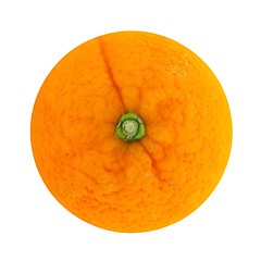 Image showing orange fruit